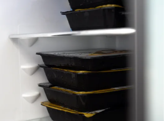 Schritt 2 — Wir kochen und liefern alles tiefgekühlt am Wunschtag zu dir nach Hause.